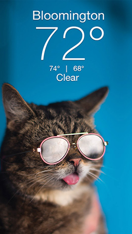 Grumpy Screenshot 1