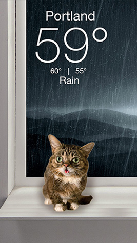 Grumpy Screenshot 2