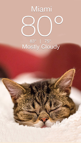 Grumpy Screenshot 3