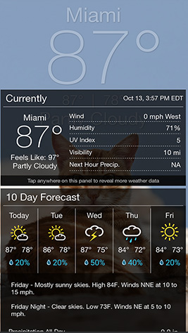 Grumpy Screenshot 4