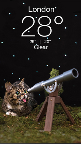 Grumpy Screenshot 6